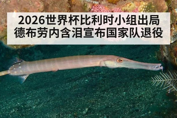 2026世界杯比利时小组出局德布劳内含泪宣布国家队退役