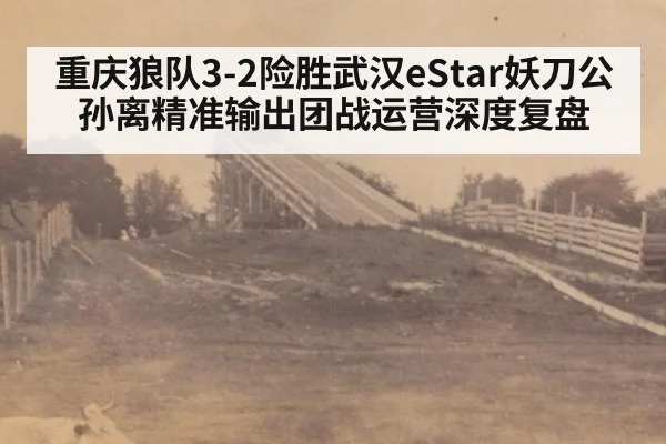 重庆狼队3-2险胜武汉eStar妖刀公孙离精准输出团战运营深度复盘